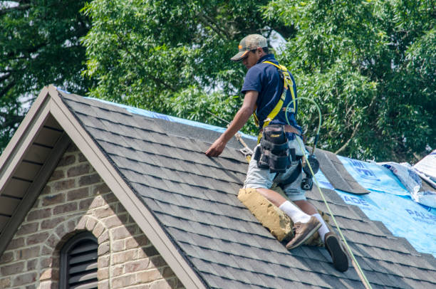 Best Storm Damage Roof Repair  in Choteau, MT